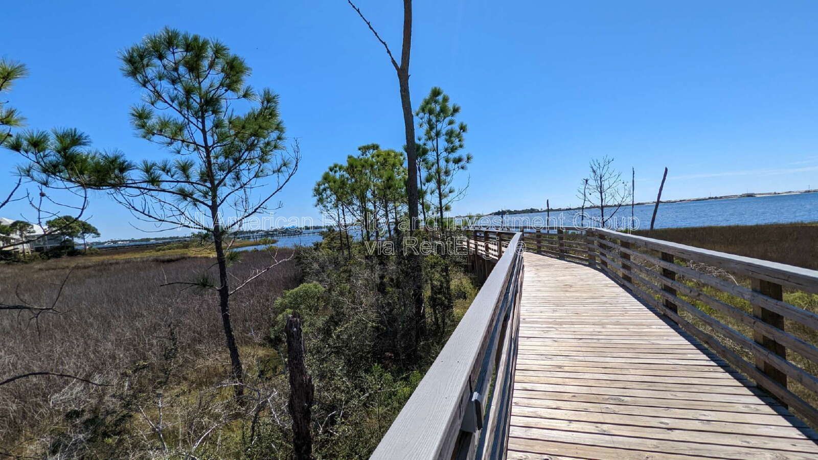 917 Lajolla Lane property image