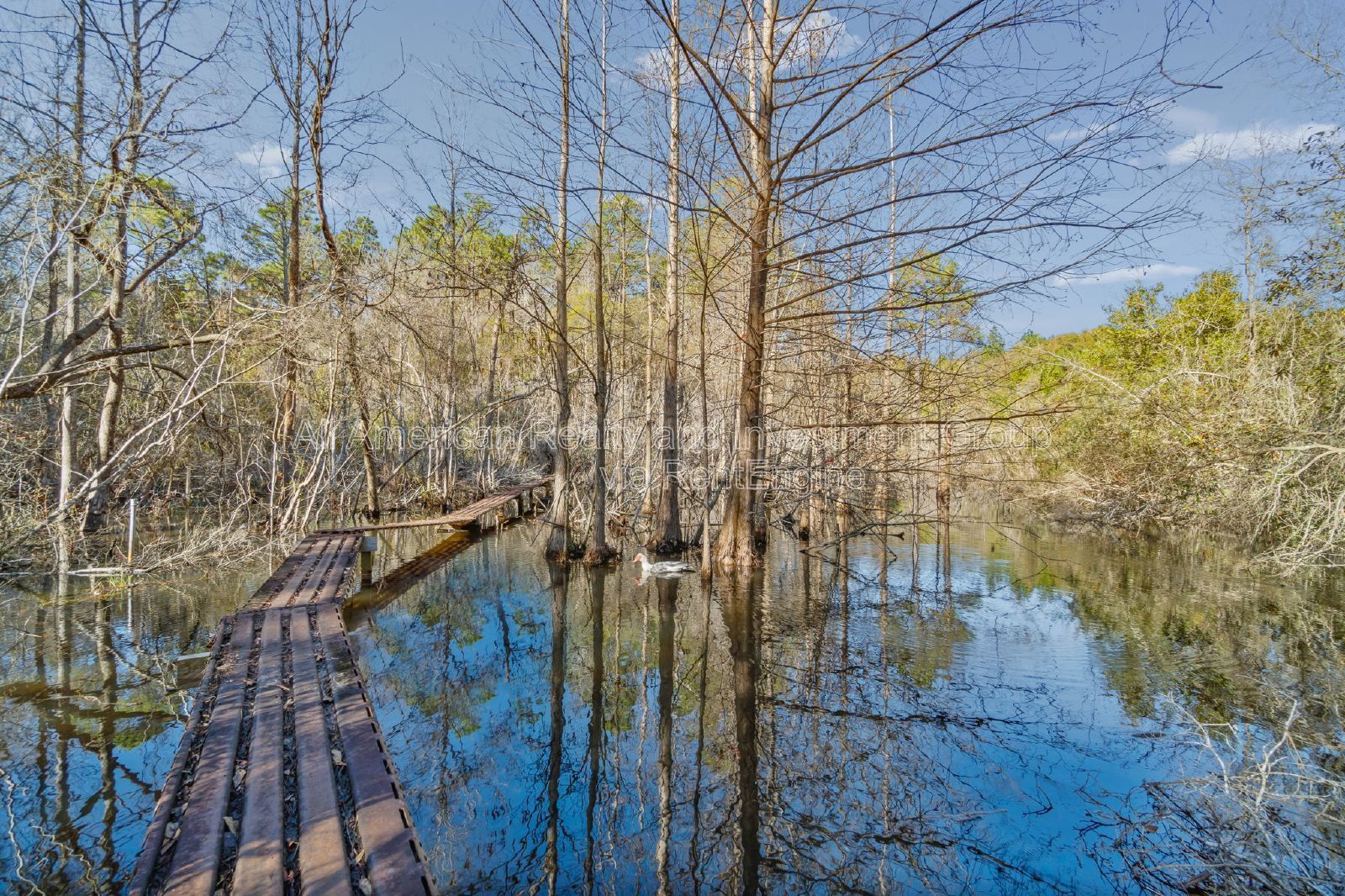 1315 Grandview Drive property image