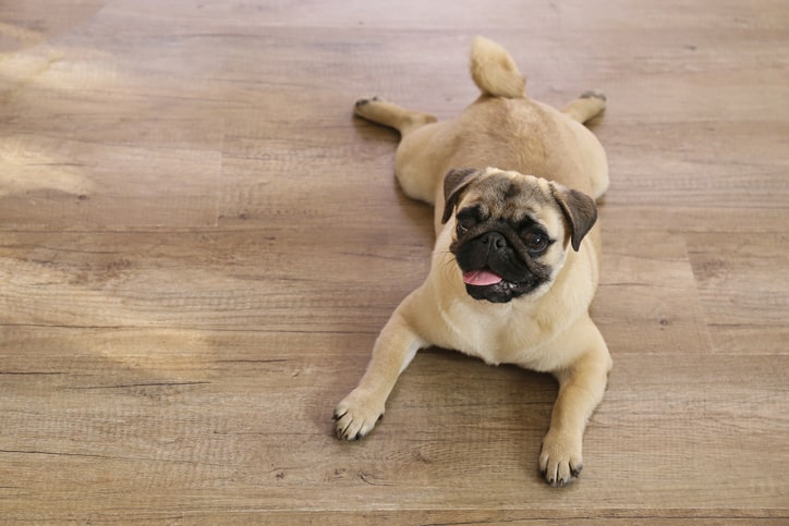 hardwood flooring is a popular option for rental properties
